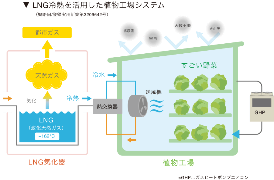 LNG冷熱を活用した植物工場システム